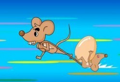 老鼠吃不吃葫芦瓜呢,揭秘啮齿动物的食物偏好之谜