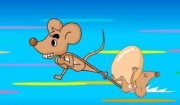 老鼠吃不吃葫芦瓜呢,揭秘啮齿动物的食物偏好之谜