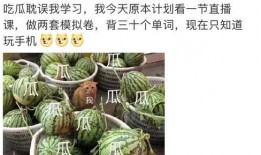 吃瓜421是啥意思,网络流行语的内涵与传播