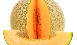 动漫吃哈密瓜,动漫中的甜蜜诱惑