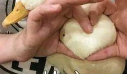 娱乐吃瓜酱鸭鸭,揭秘娱乐圈那些鲜为人知的幕后故事