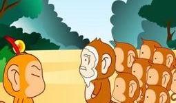 小猴吃瓜讲故事,趣味盎然的夏日童话之旅