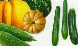 朝圣吃瓜,探寻信仰与瓜果的奇妙交融