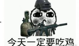 瓜仔吃鸡号,揭秘游戏背后的趣味人生