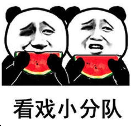 吃瓜大佬表情包,揭秘网络热图的幽默魅力