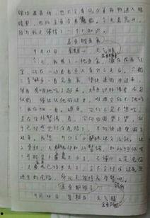 观察吃瓜作文怎么写,吃瓜群众眼中的百态人生