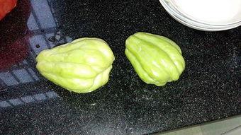 吃兔儿瓜季节,尽享兔儿瓜的鲜美时光