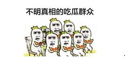 吃瓜群众相关教案,揭秘网络围观现象背后的心理与社会效应