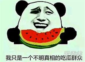 吃瓜男孩什么意思,网络流行语的背后故事