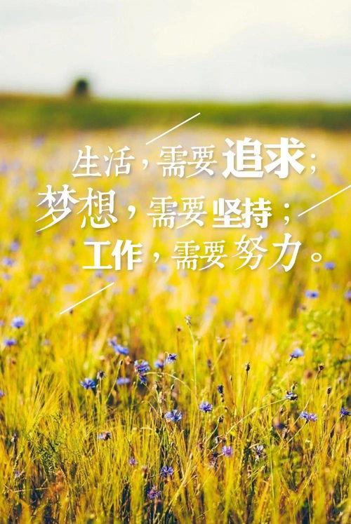 吃瓜群众早安语录图片,开启一天轻松幽默的心情之旅